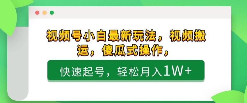 视频号小白最新玩法，视频搬运，傻瓜式操作，快速起号，轻松月入1W+-搞钱日记