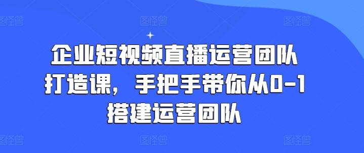企业短视频直播运营团队打造课，手把手带你从0-1搭建运营团队-搞钱日记