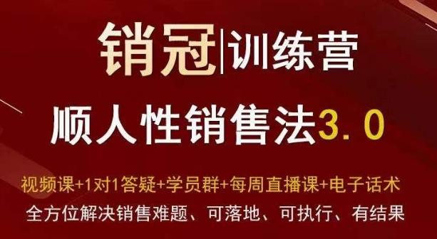 爆款！销冠训练营3.0之顺人性销售法，全方位解决销售难题、可落地、可执行、有结果-搞钱日记