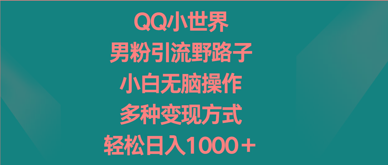QQ小世界男粉引流野路子,小白无脑操作,多种变现方式轻松日入1000+-搞钱日记