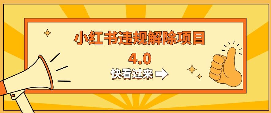 小红书违规掘金蓝海项目，日入800+（附带引流办法及解除办法）-搞钱日记