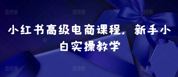 小红书高级电商课程，新手小白实操教学-搞钱日记