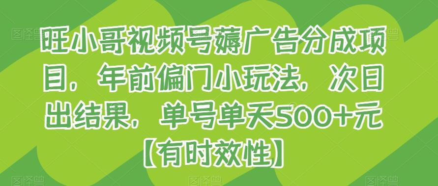 旺小哥视频号薅广告分成项目，年前偏门小玩法，次日出结果，单号单天500+元【有时效性】-搞钱日记