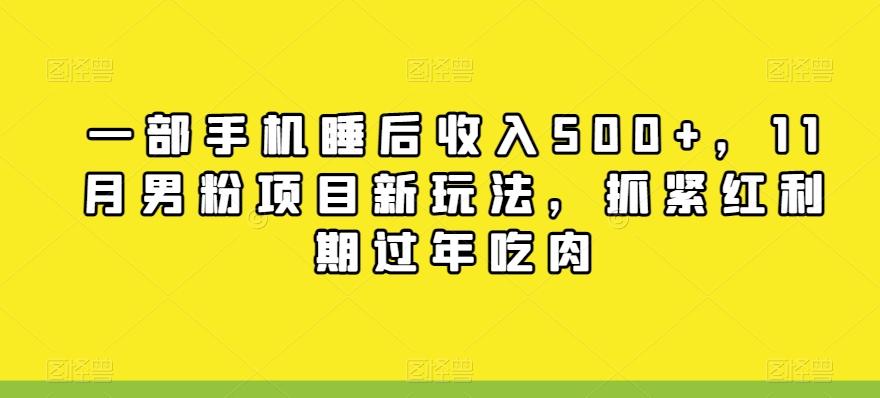 一部手机睡后收入500+，11月男粉项目新玩法，抓紧红利期过年吃肉-搞钱日记