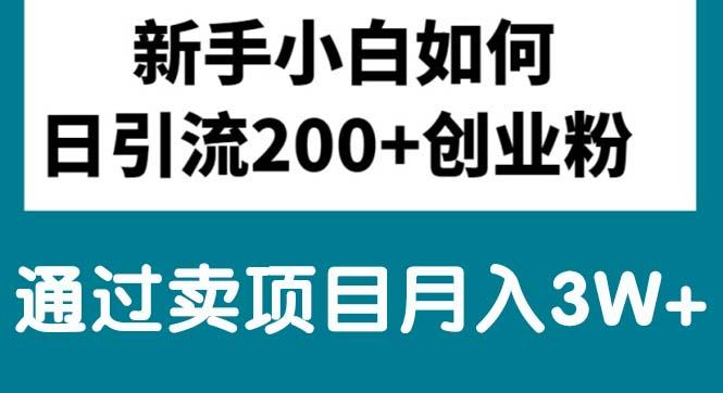 新手小白日引流200+创业粉,通过卖项目月入3W+-搞钱日记