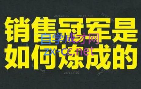 林林老师·成为外贸销售冠军课-搞钱日记