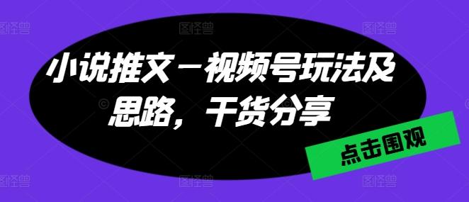 小说推文—视频号玩法及思路，干货分享-搞钱日记