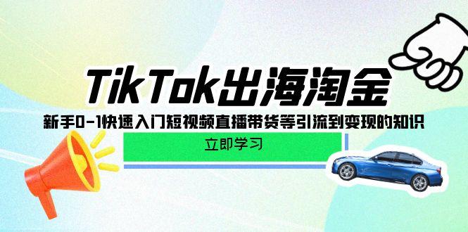 (10035期)TikTok-出海淘金，新手0-1快速入门短视频直播带货等引流到变现的知识-搞钱日记