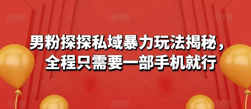 男粉探探私域暴力玩法揭秘，全程只需要一部手机就行-搞钱日记