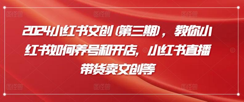 2024小红书文创(第三期)，教你小红书如何养号和开店，小红书直播带货卖文创等-搞钱日记