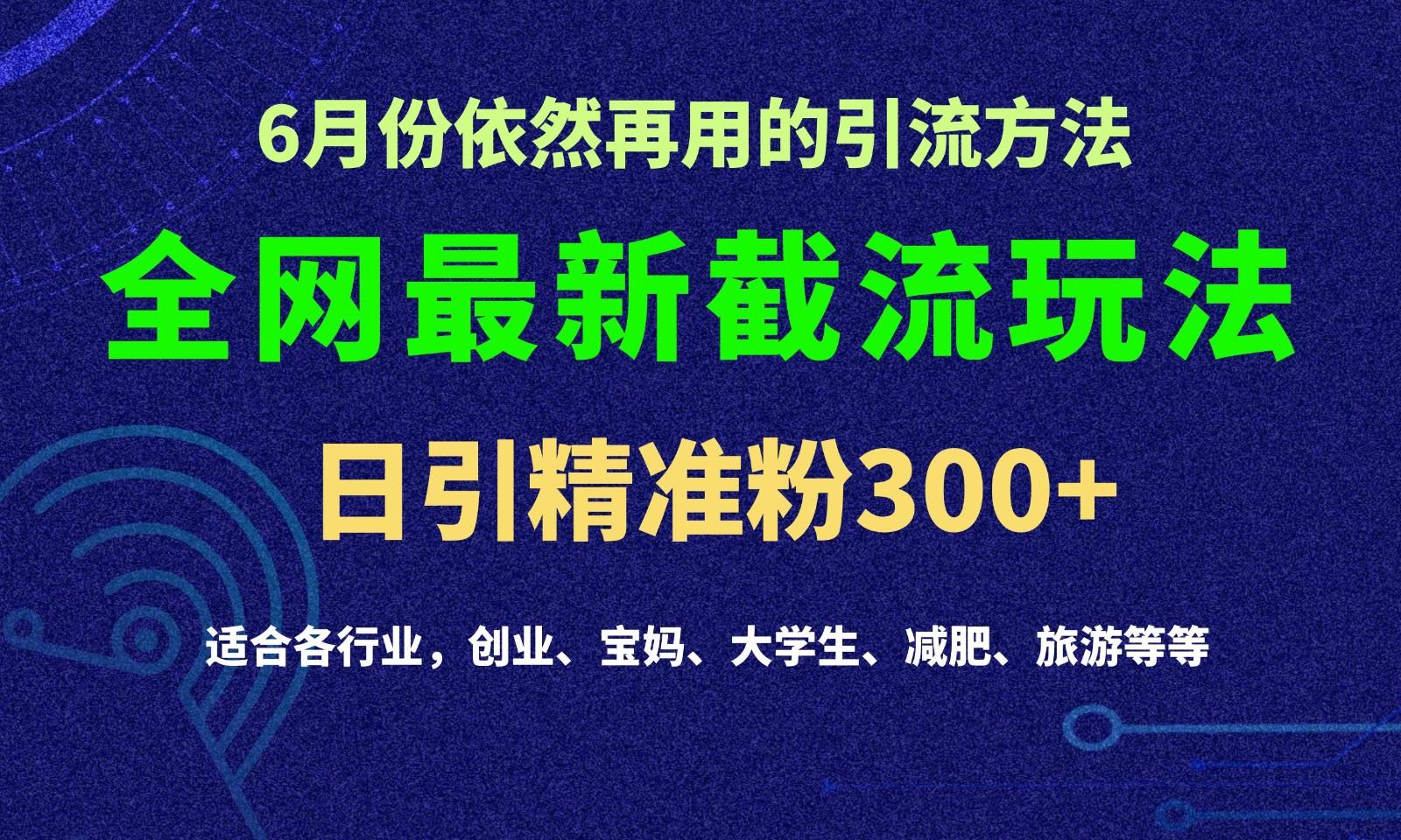 2024全网最新截留玩法,每日引流突破300+-搞钱日记