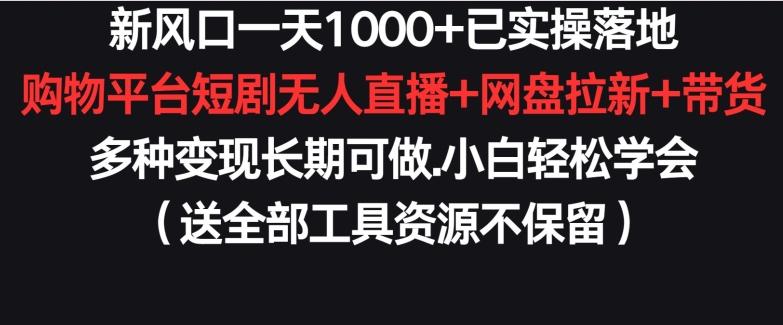 新风口一天1000+已实操落地购物平台短剧无人直播+网盘拉新+带货多种变现长期可做【揭秘】-搞钱日记