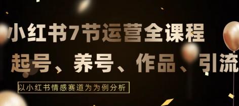 7节小红书运营实战全教程，结合最新情感赛道，打通小红书运营全流程【揭秘】-搞钱日记