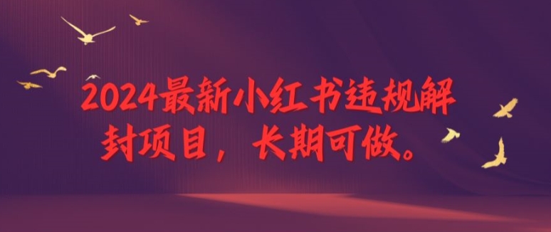 2024最新小红书违规解封项目，长期可做，一个可以做到退休的项目【揭秘】-搞钱日记