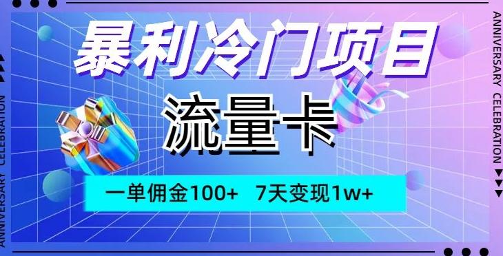 暴利冷门项目，流量卡，一单佣金100+，7天变现1w+-搞钱日记
