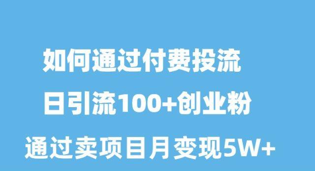 如何通过付费投流日引流100+创业粉月变现5W+-搞钱日记