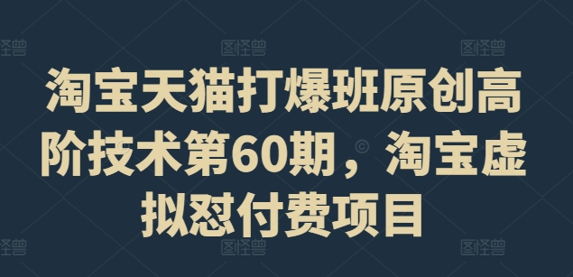 淘宝天猫打爆班原创高阶技术第60期，淘宝虚拟怼付费项目-搞钱日记