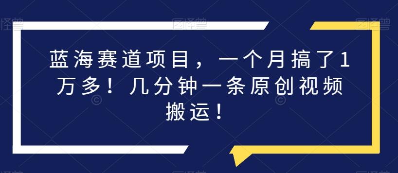 蓝海赛道项目，一个月搞了1万多！几分钟一条原创视频搬运！-搞钱日记