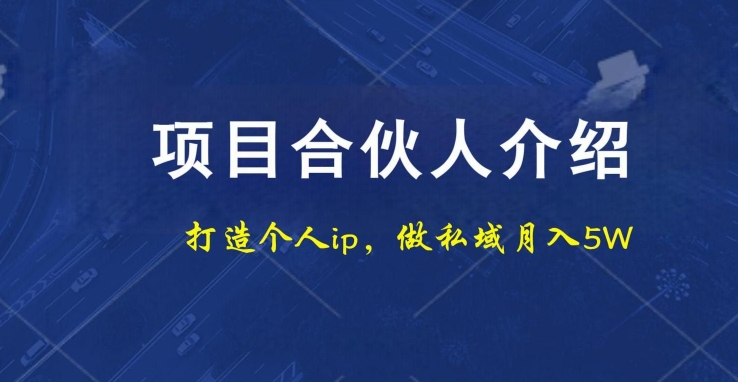 项目合伙人项目，打造个人IP，做私域月入5W，小白勿扰-搞钱日记