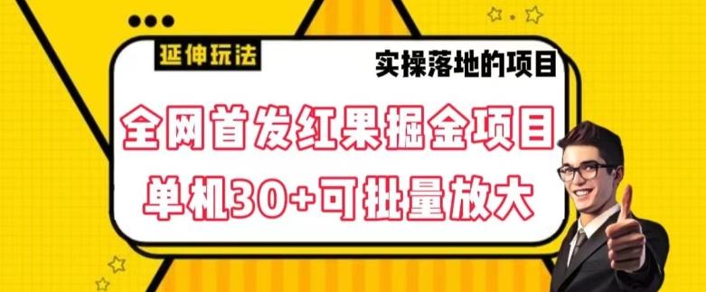 全网首发红果免费短剧掘金项目，单机30+可批量放大【揭秘】-搞钱日记