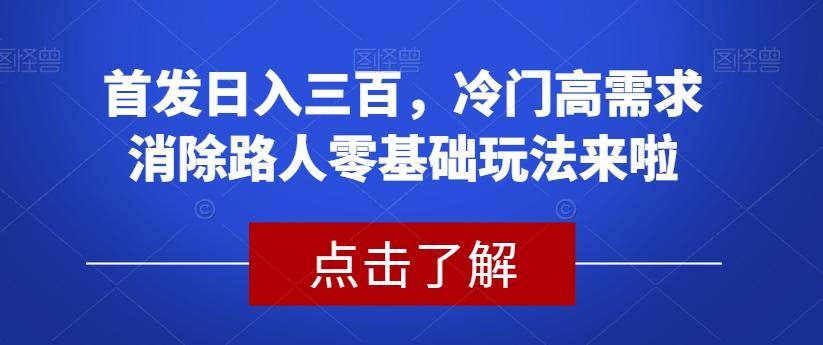 首发日入三百，冷门高需求消除路人零基础玩法来啦【揭秘】-搞钱日记