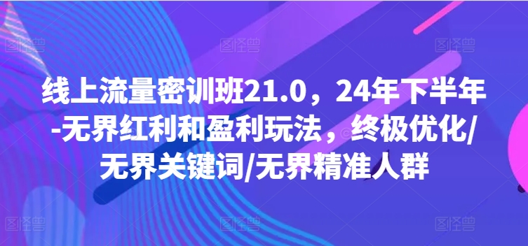 线上流量密训班21.0，24年下半年-无界红利和盈利玩法，终极优化/无界关键词/无界精准人群-搞钱日记