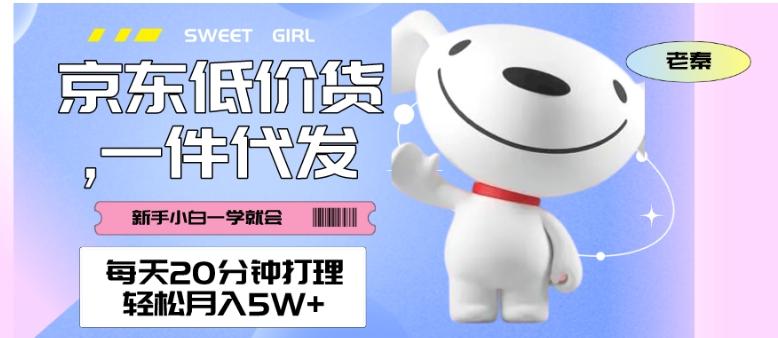 每天20分钟打理京东低价货，一件代发-轻松月入5W＋-搞钱日记
