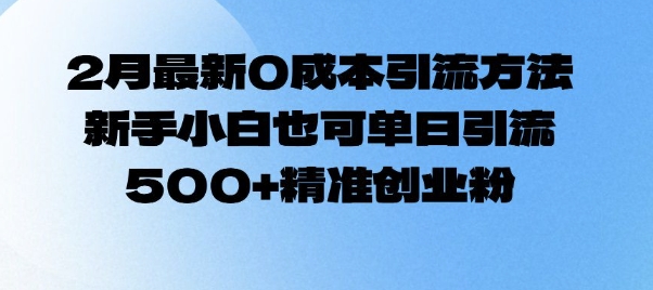 2月最新0成本引流方法，新手小白也可单日引流500+精准创业粉-搞钱日记