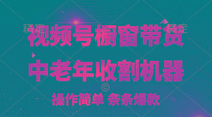 [你的孩子成功取得高位]视频号最火爆赛道，橱窗带货，流量分成计划，条...-搞钱日记