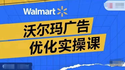 沃尔玛广告优化实操课，广告报告实操讲解，广告如何提高转化和ROAS等-搞钱日记