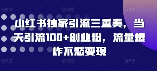 小红书独家引流三重奏，当天引流100+创业粉，流量爆炸不愁变现【揭秘】-搞钱日记