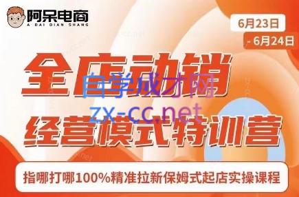 阿呆电商·全店动销经营模式特训营(线下录音+思维导图)-搞钱日记