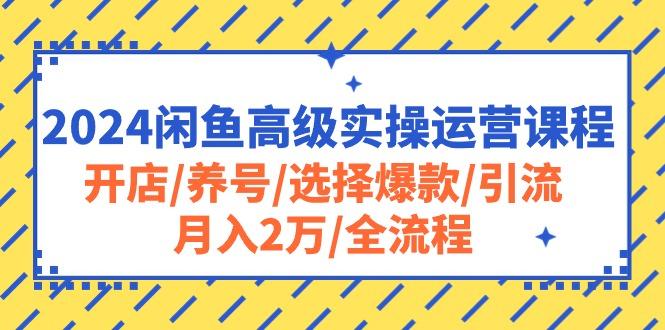 2024闲鱼高级实操运营课程：开店/养号/选择爆款/引流/月入2万/全流程-搞钱日记