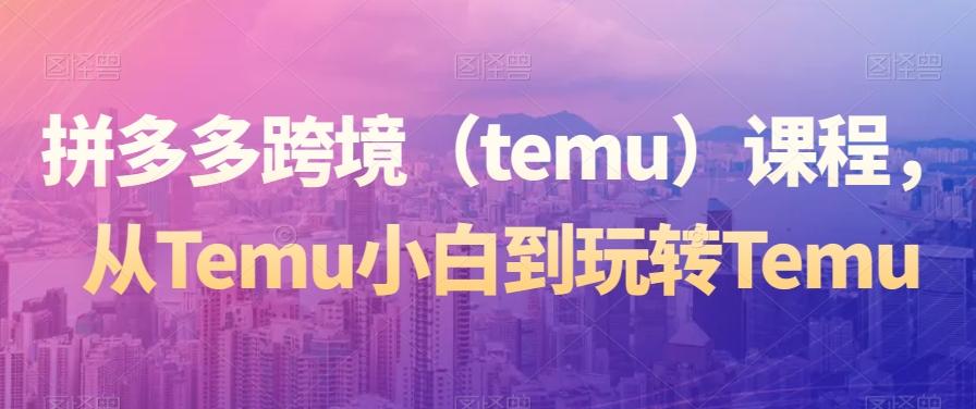 拼多多跨境（temu）课程，从Temu小白到玩转Temu-搞钱日记