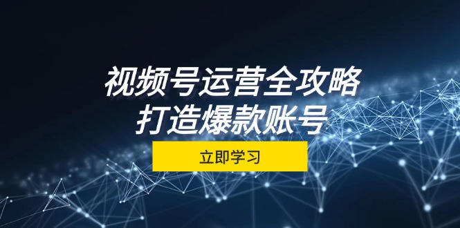 视频号运营全攻略，从定位到成交一站式学习，视频号核心秘诀，打造爆款...-搞钱日记