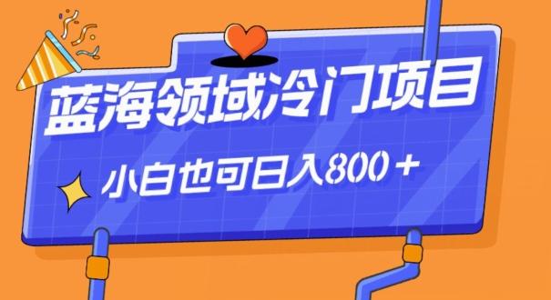 蓝海领域冷门赛道，一单39.9，日入800＋-搞钱日记