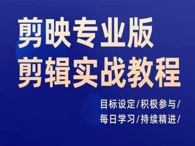 剪映专业版剪辑实战教程，目标设定/积极参与/每日学习/持续精进-搞钱日记