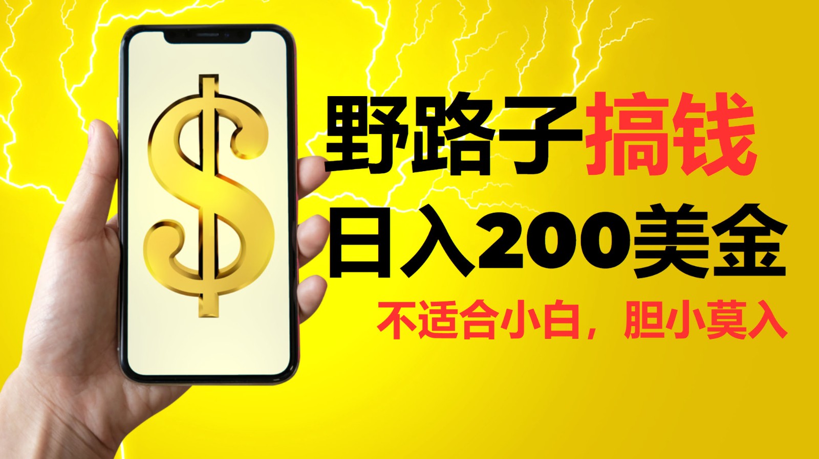 挂机野路子搞钱，日入200美金，路子很野，小白莫入-搞钱日记