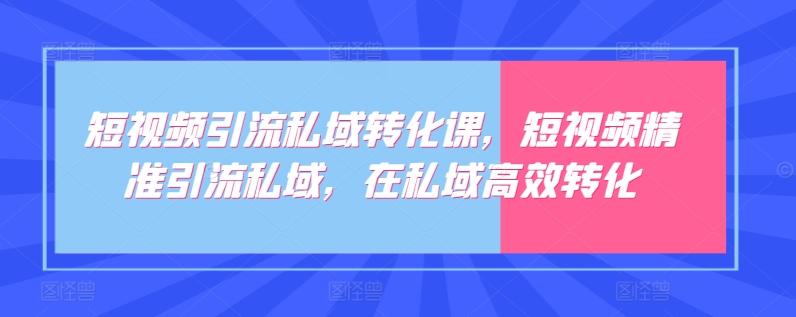 短视频引流私域转化课，短视频精准引流私域，在私域高效转化-搞钱日记