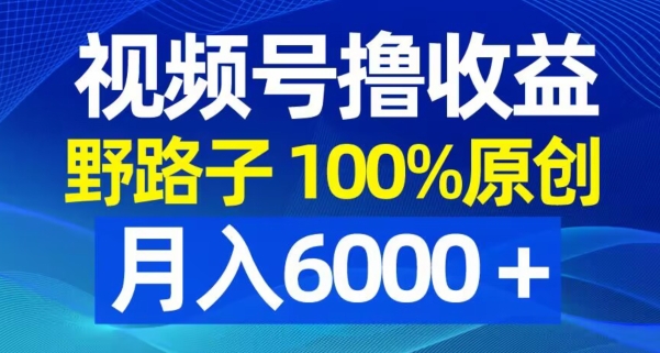视频号野路子撸收益，100%原创，条条爆款，月入6000＋【揭秘】-搞钱日记