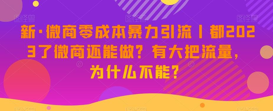 新·微商零成本暴力引流丨都2023了微商还能做？有大把流量，为什么不能？-搞钱日记