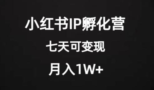 价值2000+的小红书IP孵化营项目，超级大蓝海，七天即可开始变现，稳定月入1W+-搞钱日记
