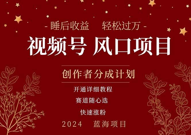 拥有睡眠收益的微信视频号大风口项目，轻松月入过万+，多赛道选择，可...-搞钱日记