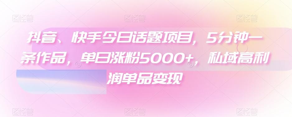 抖音、快手今日话题项目，5分钟一条作品，单日涨粉5000+，私域高利润单品变现-搞钱日记