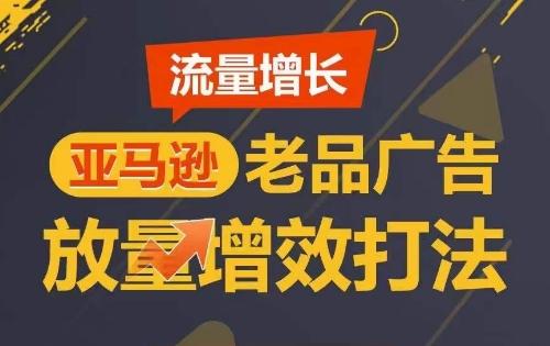 流量增长 亚马逊老品广告放量增效打法，短期内广告销量翻倍-搞钱日记