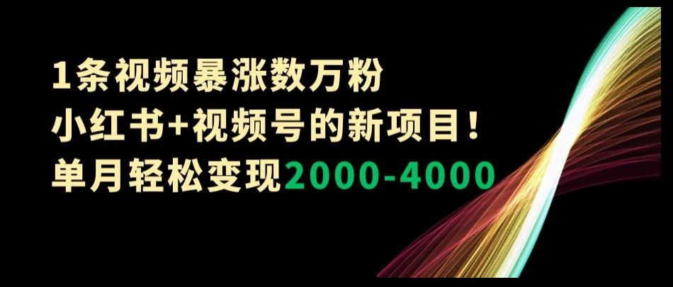 1条视频暴涨数万粉--小红书+视频号的新项目！单月轻松变现2000-4000【揭秘】-搞钱日记