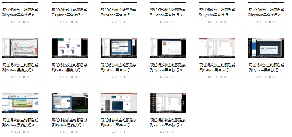 Python黑客技巧课程-搞钱日记