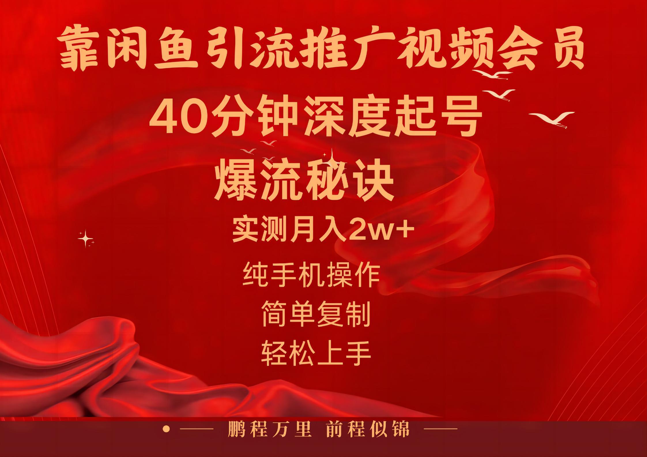 闲鱼暴力引流推广视频会员，能做到日入2W+，操作简单-搞钱日记