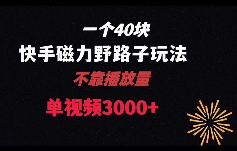一个40块，快手联合美团磁力新玩法，无视机制野路子玩法，单视频收益4位数【揭秘】-搞钱日记
