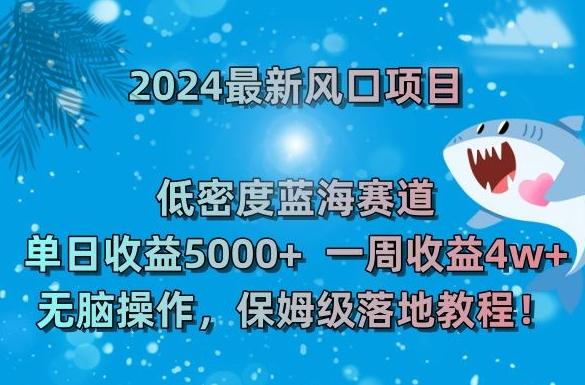 2024最新风口项目，低密度蓝海赛道，单日收益5000+，一周收益4w+！【揭秘】-搞钱日记